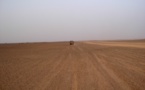 Sale temps pour le polisario et sa marraine