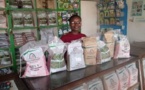 Un nouveau rapport révèle que l'industrie des semences africaine est désormais dominée par des start-up locales