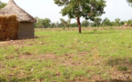 Tchad : 3 enfants calcinés dans une case à Pala-Koro par Pala