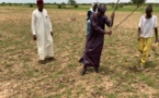 Tchad : les éleveurs et cultivateurs de Bokoro sensibilisés sur le vivre-ensemble