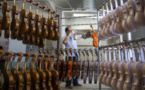 Township in E China turns into globally renowned violin manufacturing center