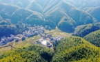 The “forest chief” scheme leads to lusher mountains in central China's Hunan province