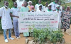 Tchad : campagne de plantation d'arbres à Dourbali pour sauver l'environnement