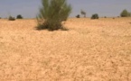 Tchad : plusieurs morts dans un effondrement près de Mao, après une pluie