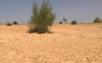 Tchad : décès d'un homme dans l'effondrement d'une maison près de Mao