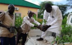 Tchad : des plantes distribuées aux ménages à Ati contre l’avancée du désert