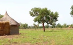 Tchad : des fraudeurs poignardent un douanier et en molestent deux autres à Zalbi