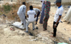 Tchad : des jeunes lancent une opération de remblaiement des ravins à Mao