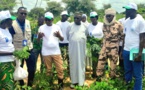 Tchad : le département du Chari promeut l'agroécologie et valorise la filière moringa