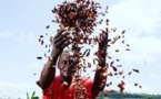 En plein pendant les crises mondiales, l’Afrique se construit un avenir alimentaire plus radieux