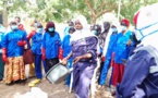 Tchad : l'ONAPE forme 30 femmes en teinture des pagnes indigo à Ati