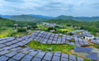 China sees leapfrog development of photovoltaic industry
