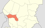 Tchad : des éléphants tuent un homme dans son champ à Tourba, au Hadjer-Lamis
