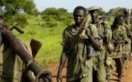 Djibouti à la recherche d'un soutien militaire 