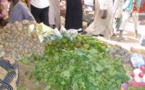 Tchad : 63 milliards Fcfa de la Banque mondiale pour renforcer la sécurité alimentaire
