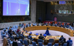 ONU : le Conseil de sécurité condamne l'attaque meurtrière contre les casques bleus tchadiens au Mali
