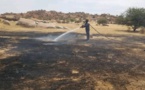 Tchad : un feu de brousse ravage un champ agricole près d'Abéché