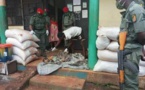 Cameroun : trois personnes au tribunal à Douala pour trafic d'ossements humains