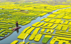 Irrigation project in Jiangsu gets world heritage designation