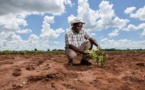 L'Afrique fait face à une crise du financement en matière d'adaptation au climat, révèle un rapport