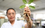 Yunnan dispatches sci-tech experts to South Asia, Southeast Asia, builds bridge of int'l technological cooperation