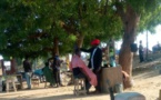 Tchad : la coiffure à l’air libre rend aussi beau