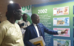 Tchad : la BEAC retrace l’historique monétaire du FCFA avec une exposition de billets de banque