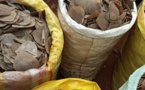 Cameroun : deux suspects arrêtés à Yaoundé pour trafic d'écailles de pangolin