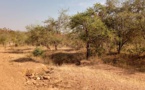 Tchad : deux personnes enlevées à Lamé, la rançon fixée à 20 millions Fcfa