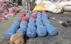 Tchad : ""si vous voyez la quantité d’alcool et de drogue, c’est vraiment inquiétant" (gendarmerie)