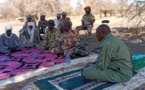 Tchad : des individus traqués et retrouvés après le vol de 114 bœufs à Mangalmé