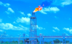 Le Tchad proteste contre "l’acquisition alléguée" par Savannah Energy des actifs pétroliers de Esso