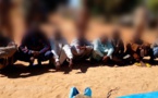Tchad : des présumés braqueurs et braconniers appréhendés au Salamat