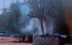 Tchad : un essaim d'abeilles attaque des enfants au centre de loisirs de Koundoul
