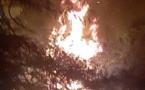 Tchad : un incendie d'origine inconnue ravage des palmiers dattiers près de Mao