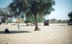 Tchad : mécontentement des commerçants de Mao suite à l'ouverture d'un bureau des Douanes à Djara