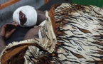 Tchad : des ministres réagissent au tragique accident routier survenu près d'Oum-Hadjer