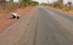 Sécurité routière au Tchad : une urgence à prendre en compte