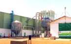 Tchad : des usines de délintage et d'égrenage à Gounou Gaya