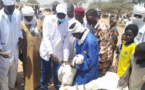 Tchad : campagne de vaccination contre les maladies animales au Batha