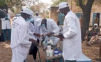 Tchad : une campagne de vaccination du bétail lancée dans la Tandjilé