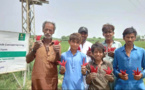 Chinese chili planting program leads Pakistani farmers to prosperity