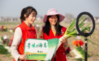 Cause of gender equality enjoys sustained, healthy development in China