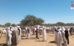 Tchad : l'interdiction d'achat de carburant en bidons et fûts impacte l'abreuvement du bétail