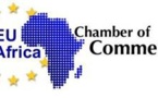 Prix RSE en Afrique : 8 finalistes en lice pour la 1ère édition des prix lancés par la Chambre de commerce UE-Afrique