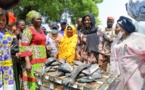 Tchad : des frigos et tables offertes aux femmes vendeuses de poissons de Dembé et Chagoua