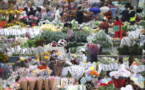 Digital technologies promote flower industry in China's Yunnan province