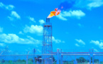 Le Tchad nationalise tous les droits et actifs de Esso Chad