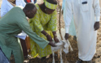 Tchad : une délégation ministérielle mène une campagne de vaccination et de marquage des animaux au Lac
