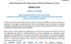 Tchad : appel à propositions du HCDH visant à soutenir les capacités techniques et opérationnelles des OSC